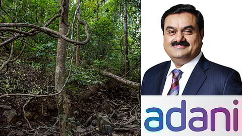 हसदेव अरण्य