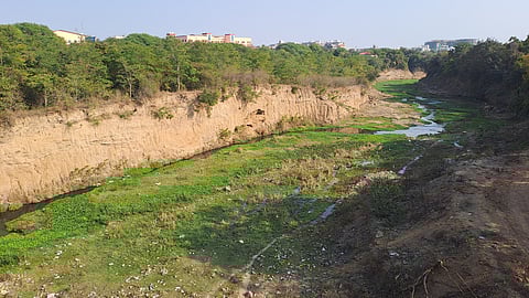 कलियासोत नदी