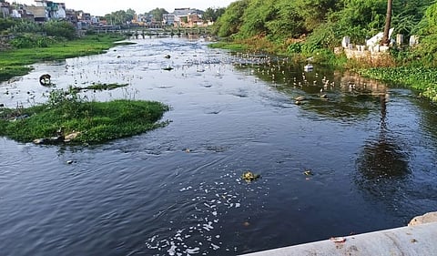 चंबल नदी