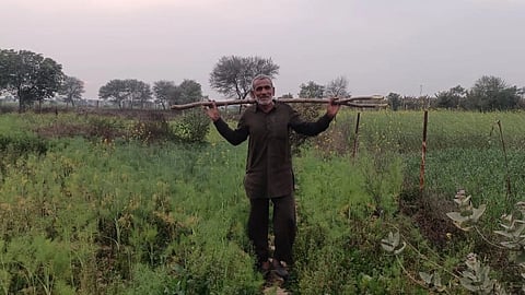 राजस्थान के एक किसान अपने खेत की रखवाली करते।