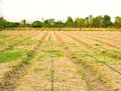 सांकेतिक फोटो।