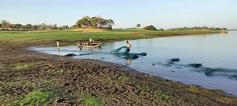 अधिकांश जनजाति समुदाय से छोटे स्तर के मछलीमार हैं और केवल मत्स्याखेट आधारित आजीविका से ही उनका साल भर का गुजारा नहीं होता।