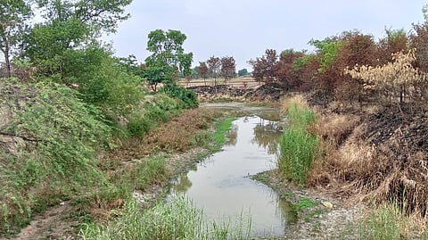 सूखी आमी नदी, सिर्फ तलहटी में बचा पानी।