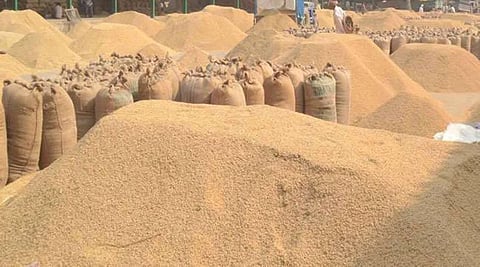 गेहूं भण्डारण की सीमा तय: जमाखोरी, बढ़ती कीमतों पर लगाम लगाने का दावा