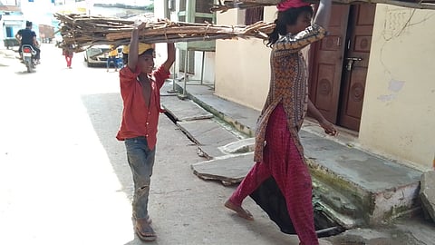 पन्ना शहर में लकड़ी बेचने निकले आदिवासी बच्चे।