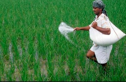 मध्यप्रदेश में खाद संकट- सांकेतिक फोटो