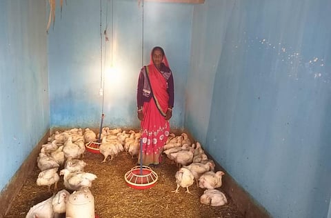 गोड्डा की वीणा ने पोल्ट्री फार्म शुरू किया