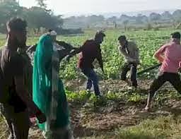 वायरल फोटो/वीडियो