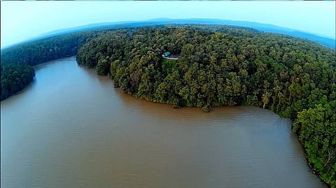 MP के रातापानी अभयारण्य में साउंडप्रूफ कॉरिडोर: पर्यावरण संरक्षण की दिशा में बड़ा कदम, जानिए कैसे सुरक्षित होंगे वन्यप्राणी?