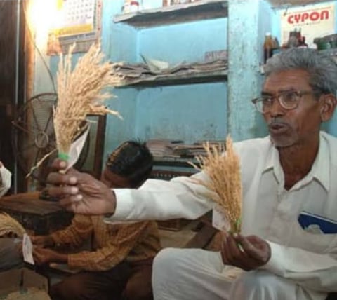 दुनिया के अग्रणी चावल वैज्ञानिक आर.एच. रिछारिया की स्मृति में स्थापित पहला रिछारिया सम्मान पुरस्कार, एचएमटी और कई अन्य चावल किस्मों को विकसित करने के लिए दादाजी रामाजी खोबरागड़े को सम्मानित किया गया था।