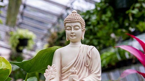 buddha statue