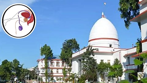 Gauhati High Court Rejects Plea Seeking Mandatory Castration for Rapists