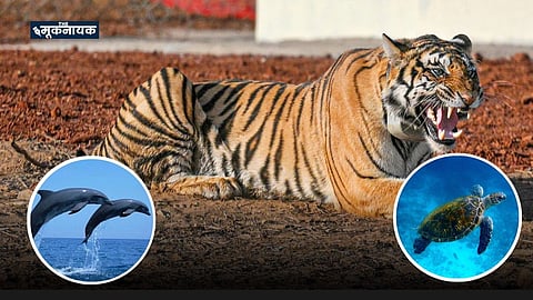 Uttar Pradesh Biodiversity Conservation