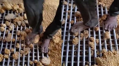 पैरों से पोषण आहार कुचलने का वीडियो वायरल