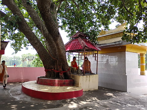 सुजाता मंदिर वह जगह है जहाँ सुजाता नामक महिला ने भगवान बुद्ध को खीर खिलाई थी, जिससे उन्हें ज्ञान की प्राप्ति में मदद मिली थी।