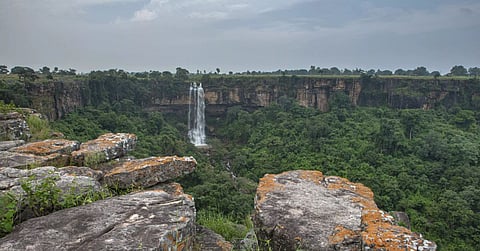 छत्तीसगढ़ का एक जंगल क्षेत्र