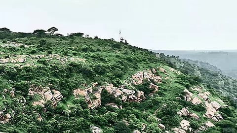 Aravali Safari Park