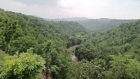 सतपुड़ा के जंगल