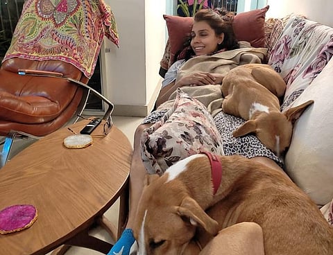 Tarana Singh, a resolute champion of canine kind, works relentlessly for their well-being.