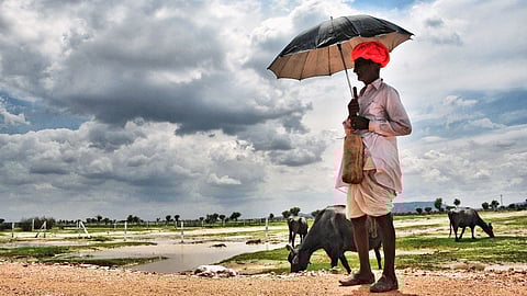 A villager looks at the dark monsoon clouds at the outskirts of Jaipur, Rajasthan.
