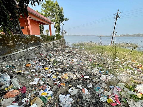 Sewage water flowing into the ponds is the major cause of pollution.