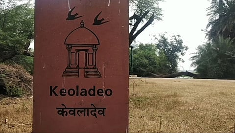 The Keoladeo Ghana National Park is home for hundreds of migratory and indigenous avian species.