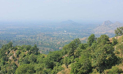 The Saffron Miracle: How Kala Baba's Rituals Are Saving Forests in South Rajasthan