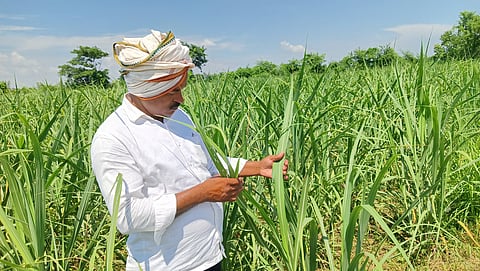 Telangana: Relief for Farmers as State Cabinet Approves Crop Loan Waiver