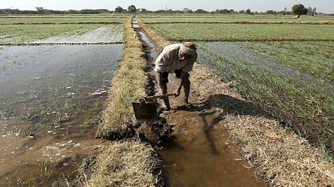 Rajasthan: Farmers in Distress as Reimbursement Delays Compound Sowing Season Challenges In Udaipur