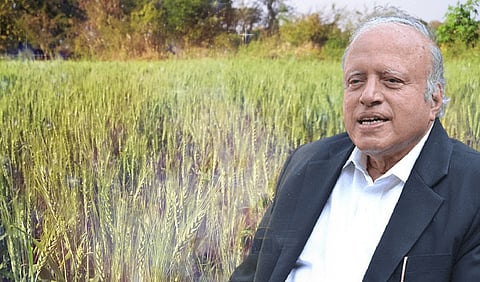 Dr. Swaminathan played an instrumental role in introducing high-yielding varieties of wheat and rice in the 1960s, which led to a significant increase in agricultural productivity and helped India achieve self-sufficiency in food production.