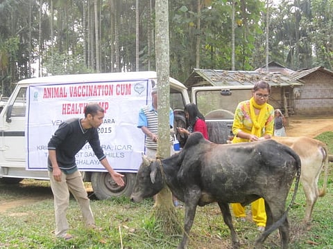 Representational Image