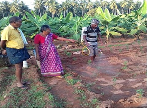 Minister Meets with Bihar Farmers to Boost Income