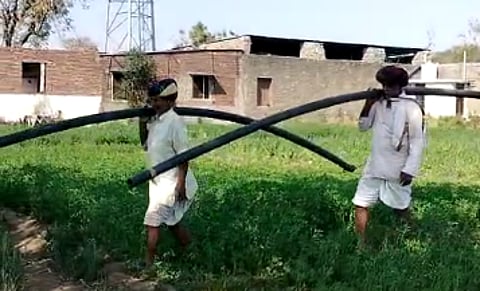 Farmers working in Dharta village in Bhinder block of Udaipur district.