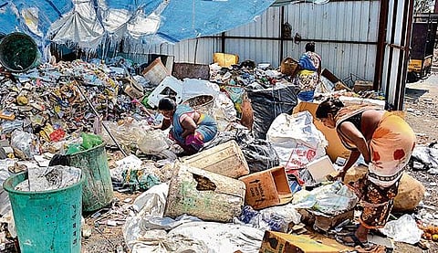 Swach serves 968,679 households daily, integrating 3,668 waste-pickers into its operations.