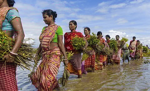 Women queue to plant mangrove saplings along the riverbanks of the Matla river in Sundarbans, India as part of efforts to combat the impacts of climate change.