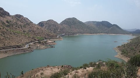 Mahaseer is found in plenty in Badi Lake although they do not breed here.