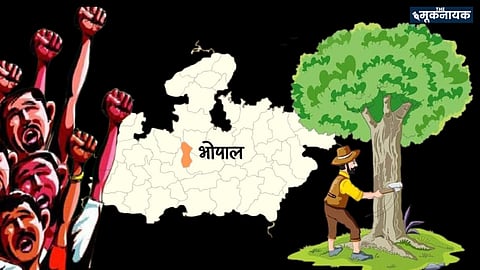 Bhopal Faces Environmental Crisis: 29,000 Trees To Be Cut for Ministerial Bungalows