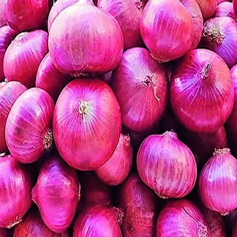 Onion Prices Stabilizing, Despite Production Drop