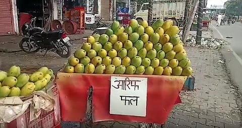 UP Police Promoting Untouchability, Says Owaisi: Why Directives to Display Vendor Names Have Sparked Controversy