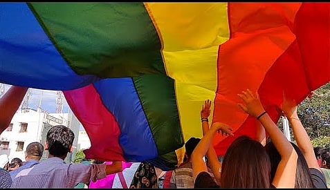 Invisible Curriculums: The Struggle for Queer Representation in Academia and Media