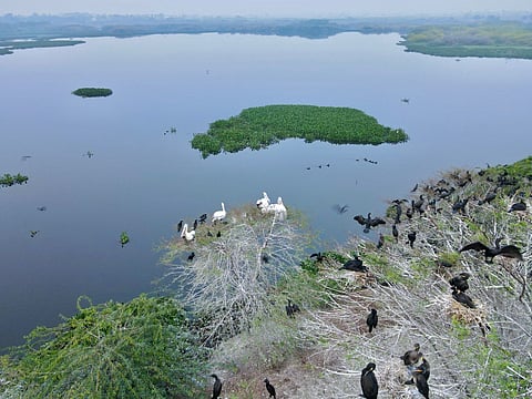 India's Ramsar Sites Soar to 85 with New Additions