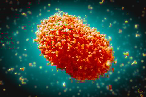 India's Risk of Monkeypox Outbreak Remains Low, Says Official