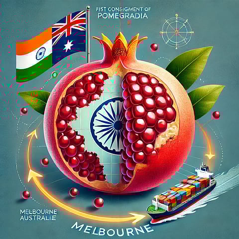 Indian Pomegranates Reach Australian Shores