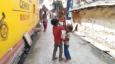 Ground Report: Childhood Burdened by Firewood as Panna’s Tribal Children Struggle for Survival