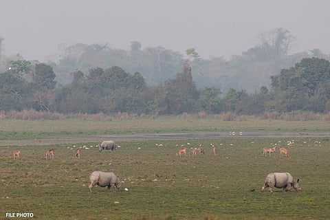 PM Modi Reaffirms Commitment to Rhino Conservation on World Rhino Day