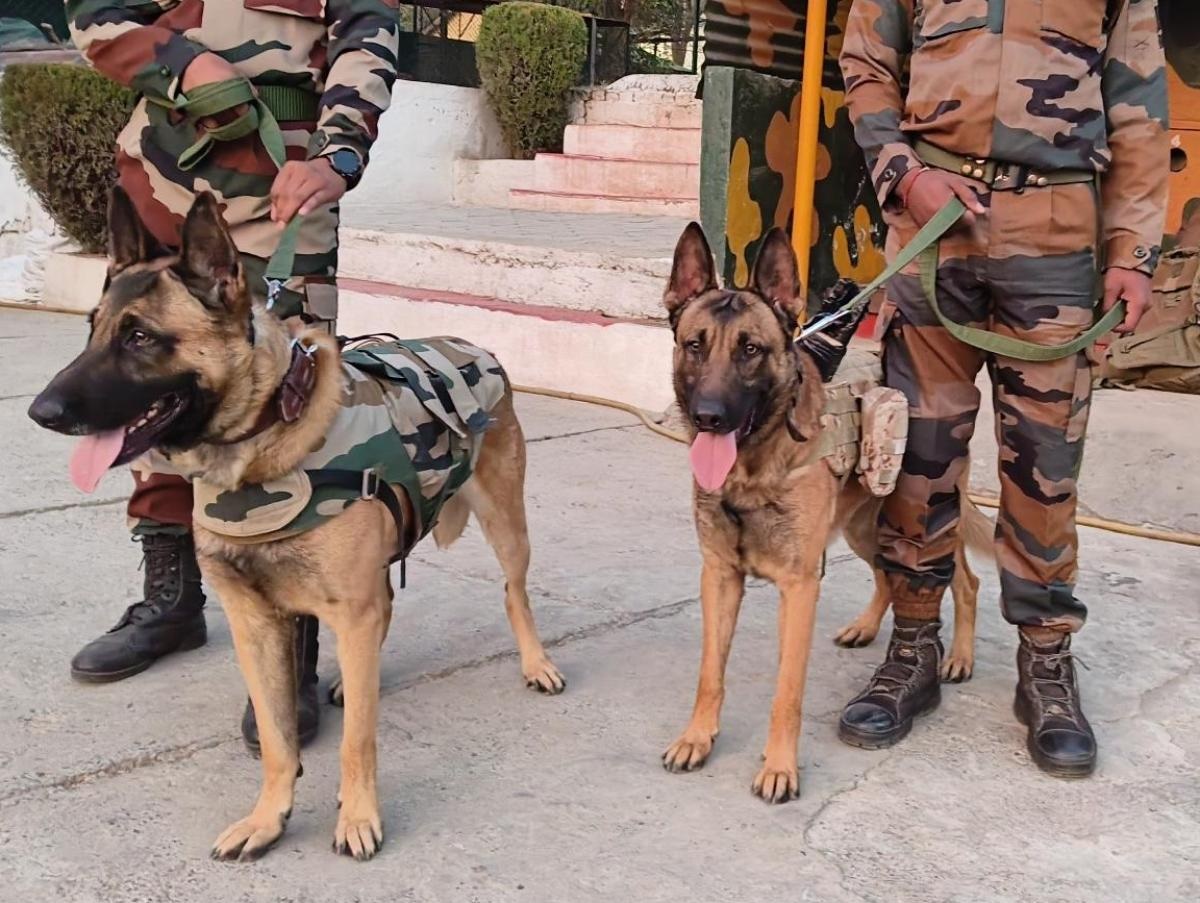 Haryana Police Expands Dog Squad to Combat Crime