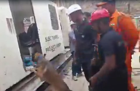 Trained Kerala Dogs Detect Human Presence in Telangana Tunnel Collapse Site