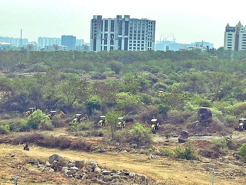 Tree-felling row: SC panel begins inspection of land near Hyderabad University