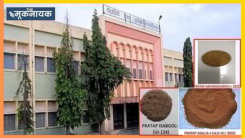 MPUAT scores a hat-trick with three medicinal crop varieties—Pratap Ashwagandha-1, Pratap Isabgol-1, and Pratap Asalia-1—notified.