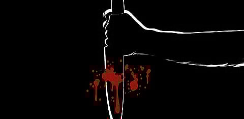 Representation image (The Leaflet)